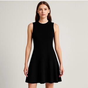 Zara Sleeveless Knit Fit & Flare Mini Dress